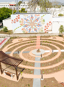 Native and Indigenous Healing Garden