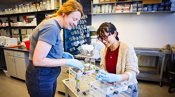 Graduate students experimentally grow drought-resistant plants in a lab on campus. (Rachel Crawford/SDSU)